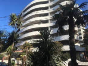 Sochi Sea View Apartment